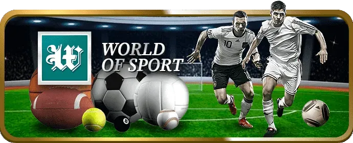 Giao diện thân thiện ww8