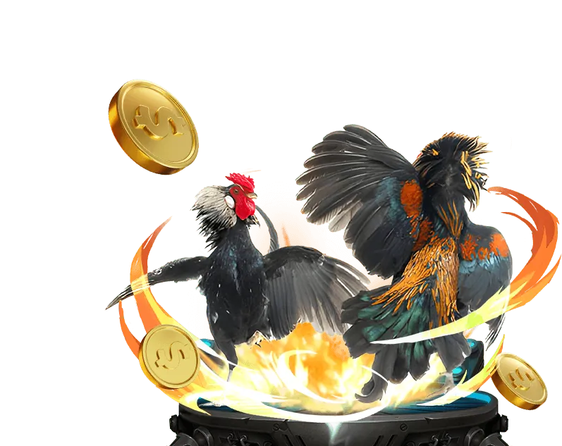 Hướng dẫn người mới bắt đầu tại n666 casino